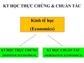 KT HỌC THỰC CHỨNG & CHUẨN TẮC

Kinh tế học
(Economics)

KT HỌC THỰC CHỨNG

KT HỌC CHUẨN TẮC

(POSITIVE ECONOMICS)

(NORMATIVE ECONOMICS)

 