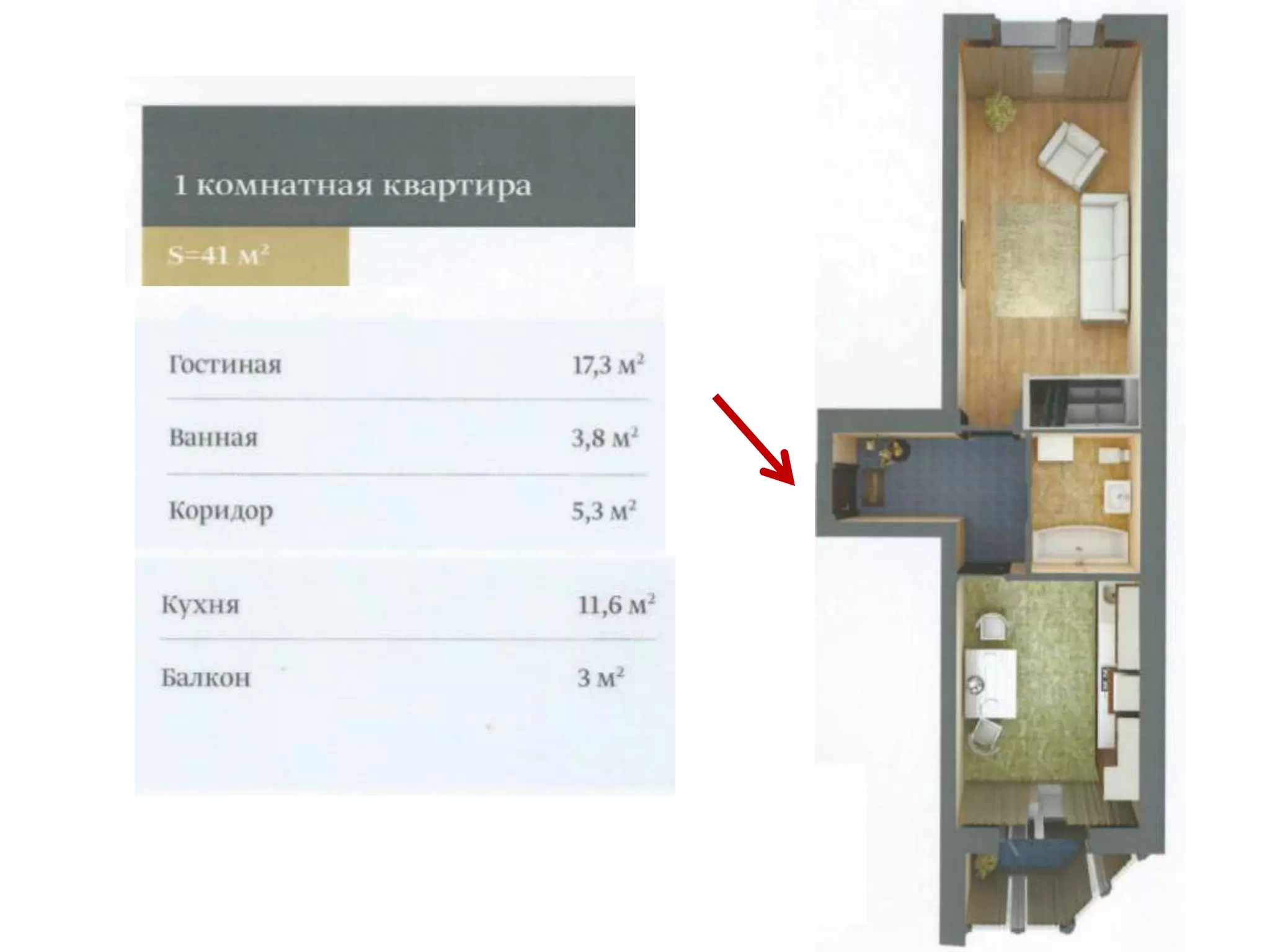 знаменский 1