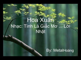 Hoa Xuân
Nhạc: Tình Là Giấc Mơ ... Lời
Nhật

By: MetalHoàng

 