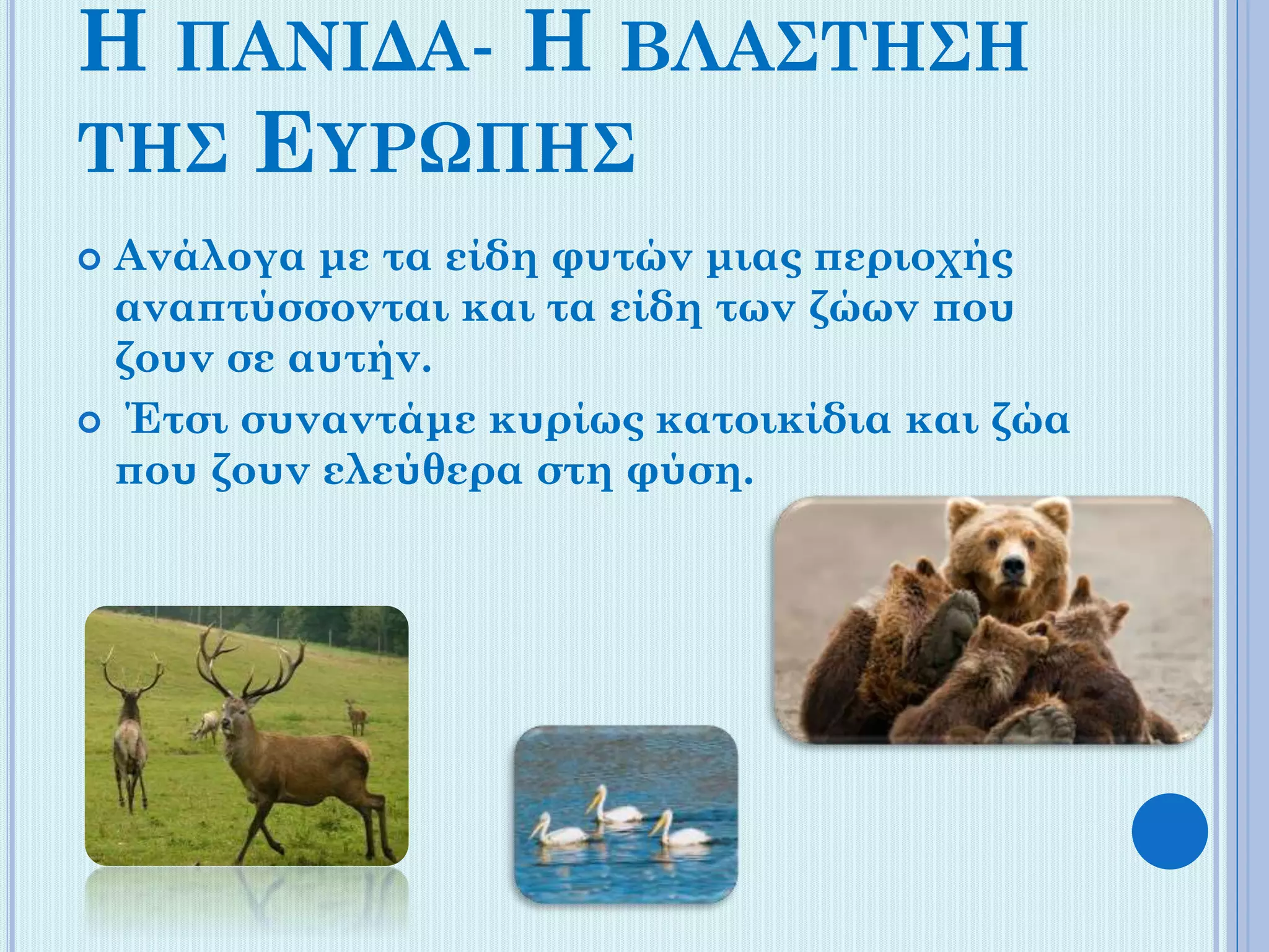 Η ΠΑΝΙΔΑ- Η ΒΛΑΣΤΗΣΗ
ΤΗΣ ΕΥΡΩΠΗΣ
Ανάλογα με τα είδη φυτών μιας περιοχής
αναπτύσσονται και τα είδη των ζώων που
ζουν σε αυτήν.
 Έτσι συναντάμε κυρίως κατοικίδια και ζώα
που ζουν ελεύθερα στη φύση.


 