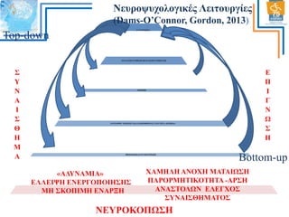 Νεσρουστολογικές Λειτοσργίες
(Dams-O’Connor, Gordon, 2013)
ΑYTOΓΝΧ΢ΙΑ

Top-down

ΑΝΑΛΤ΢Η ΢ΤΝΘΔ΢Η ΔΚΣΔΛΔ΢Η ΓΔΝΙΚΔΤ΢Η

΢
Τ
Ν
Α
Ι
΢
Θ
Η
Μ
Α

Δ
Π
Ι
Γ
Ν
Χ
΢
Η

ΜΝΗΜΗ

ΑΝΣΙΛΗΦΗ / ΔΠΔΞΔΡΓΑ΢ΙΑ ΠΛΗΡΟΦΟΡΙΑ΢ ΣΑΥΤΣΗΣΑ ΑΚΡΙΒΔΙΑ

ΠΡΟ΢ΟΥΗ ΚΑΙ ΢ΤΓΚΔΝΣΡΧ΢Η

«ΑΓΤΝΑΜΙΑ»
ΔΛΛΔΙΦΗ ΔΝΔΡΓΟΠΟΙΗ΢Η΢
ΜΗ ΢ΚΟΠΙΜΗ ΔΝΑΡΞΗ

Bottom-up

ΥΑΜΗΛΗ ΑΝΟΥΗ ΜΑΣΑΙΧ΢Η
ΠΑΡΟΡΜΗΣΙΚΟΣΗΣΑ -ΑΡ΢Η
ΑΝΑ΢ΣΟΛΧΝ ΔΛΔΓΥΟ΢
΢ΤΝΑΙ΢ΘΗΜΑΣΟ΢

ΝΔΤΡΟΚΟΠΧ΢Η

 
