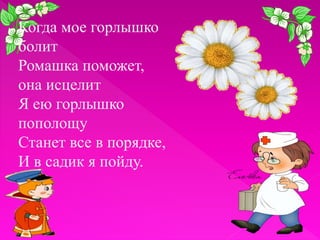 Когда мое горлышко
болит
Ромашка поможет,
она исцелит
Я ею горлышко
пополощу
Станет все в порядке,
И в садик я пойду.

 