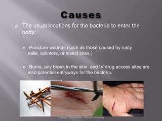 Clostridium species - Microbiology | PPTX