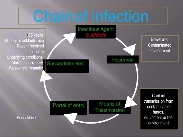 Clostridium species - Microbiology