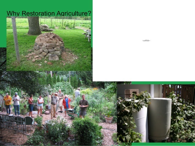 mark shepard restoration agriculture pdf