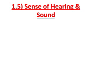 1.5) Sense of Hearing &
Sound
 