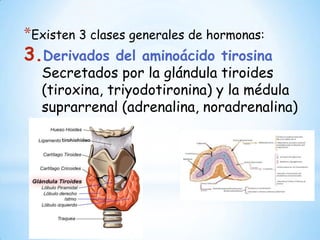 1.tema 1 hormonas | PPTX