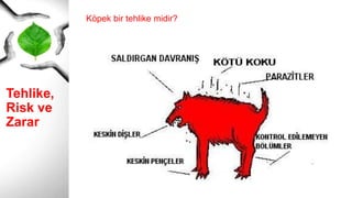 Tehlike,
Risk ve
Zarar
Köpek bir tehlike midir?
 