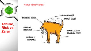 Tehlike,
Risk ve
Zarar
Ne tür riskler vardır?
 