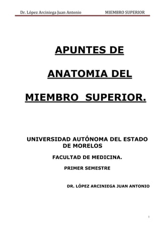 Dr. López Arciniega Juan Antonio MIEMBRO SUPERIOR
1
APUNTES DE
ANATOMIA DEL
MIEMBRO SUPERIOR.
UNIVERSIDAD AUTÓNOMA DEL ESTADO
DE MORELOS
FACULTAD DE MEDICINA.
PRIMER SEMESTRE
DR. LÓPEZ ARCINIEGA JUAN ANTONIO
 