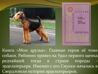 Книга «Мои друзья». Главные герои её тоже
собаки. Рябинин привез на Урал первого щенка
редчайшей тогда в стране породы -
эрдельтерьера. Именно с его Снукки началась в
Свердловске история эрдельтерьеров.
 