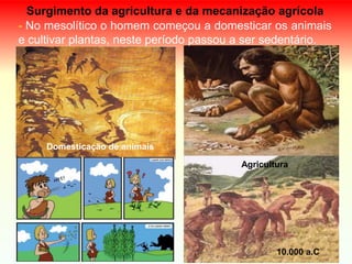 Surgimento da agricultura e da mecanização agrícola
- No mesolítico o homem começou a domesticar os animais
e cultivar plantas, neste período passou a ser sedentário.
Agricultura
Domesticação de animais
10.000 a.C
 