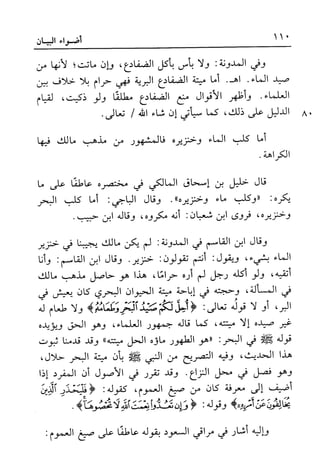 أضواء البيان للأمين الشنقيطي 1