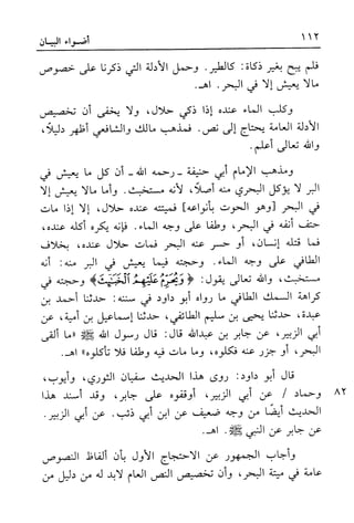 أضواء البيان للأمين الشنقيطي 1