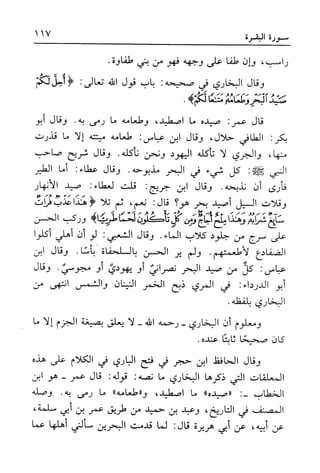 أضواء البيان للأمين الشنقيطي 1