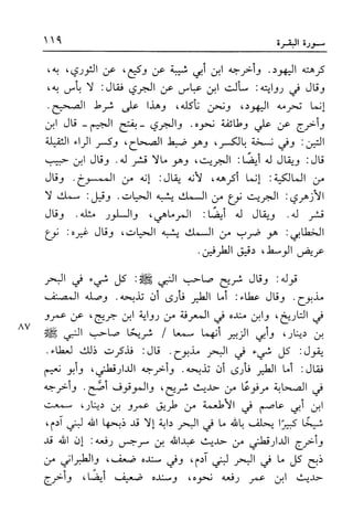 أضواء البيان للأمين الشنقيطي 1