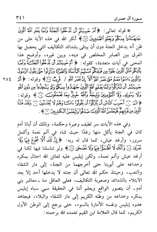 أضواء البيان للأمين الشنقيطي 1