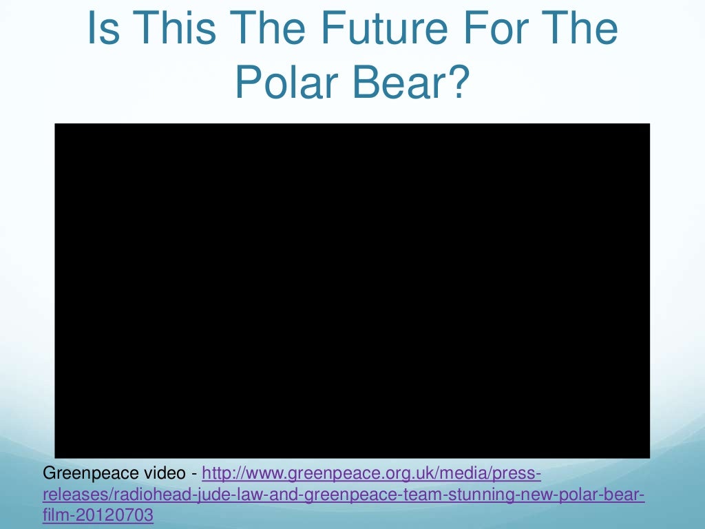 Are polar bears under threat?