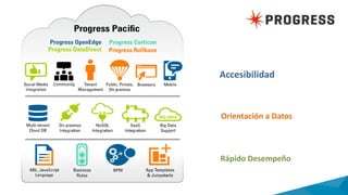 Rápido Desempeño
Orientación a Datos
Accesibilidad
 