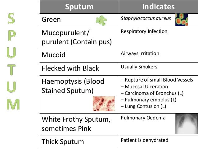 Sputum Colour Chart