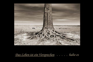 Das Leben ist ein Versprechen . . . . . halte es
 