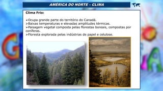 AMÉRICA DO NORTE – CLIMA 
Clima Frio:
Ocupa grande parte do território do Canadá.
Baixas temperaturas e elevadas amplitudes térmicas.
Paisagem vegetal composta pelas florestas boreais, compostas por
coníferas.
Floresta explorada pelas indústrias de papel e celulose.
 