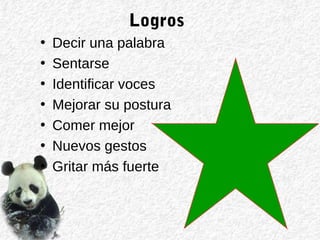 Logros
• Decir una palabra
• Sentarse
• Identificar voces
• Mejorar su postura
• Comer mejor
• Nuevos gestos
• Gritar más fuerte
 