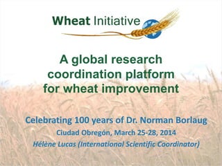 Celebrating 100 years of Dr. Norman Borlaug
Ciudad Obregón, March 25-28, 2014
Hélène Lucas (International Scientific Coordinator)
A global research
coordination platform
for wheat improvement
 