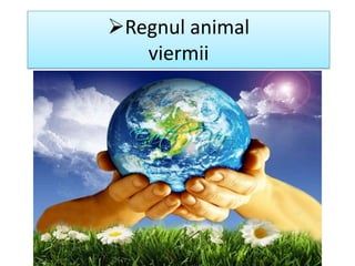 Regnul animal
viermii
 