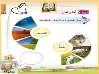 النص الثاني الخروف الأحمق1