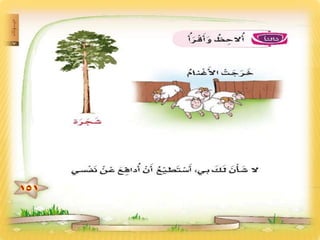 النص الثاني الخروف الأحمق1