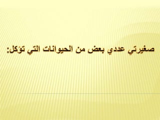 النص الثاني الخروف الأحمق1