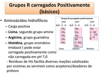 Grupos R carregados Positivamente
(básicos)
• Aminoácidos hidrofílicos
– Carga positiva
– Lisina, segundo grupo amino
– Arginina, grupo guanidina
– Histidina, grupo aromático
imidazol ( pode estar
carregada positivamente como
não carregada em pH 7,0
- Resíduos de His facilita diversas reações catalisadas
por enzimas ao servirem como aceptores/doadores de
prótons
 
