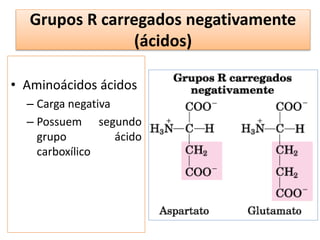 Grupos R carregados negativamente
(ácidos)
• Aminoácidos ácidos
– Carga negativa
– Possuem segundo
grupo ácido
carboxílico
 
