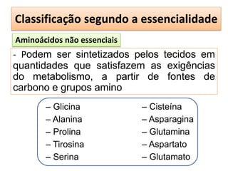 Classificação segundo a essencialidade
Aminoácidos não essenciais
- Podem ser sintetizados pelos tecidos em
quantidades que satisfazem as exigências
do metabolismo, a partir de fontes de
carbono e grupos amino
– Glicina
– Alanina
– Prolina
– Tirosina
– Serina
– Cisteína
– Asparagina
– Glutamina
– Aspartato
– Glutamato
 