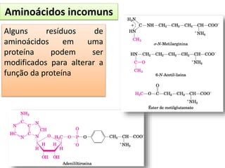 Aminoácidos incomuns
Alguns resíduos de
aminoácidos em uma
proteína podem ser
modificados para alterar a
função da proteína
 