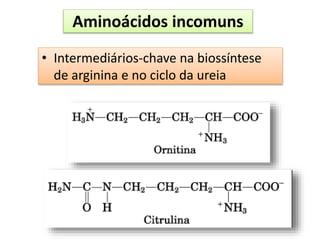 Aminoácidos incomuns
• Intermediários-chave na biossíntese
de arginina e no ciclo da ureia
 