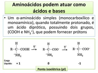 Aminoácidos podem atuar como
ácidos e bases
• Um α-aminoácido simples (monocarboxílico e
monoamínico), quando totalmente protonado, é
um ácido diprótico, possuindo dois grupos,
(COOH e NH3
+), que podem fornecer prótons
Carga
Llquida: + 1 0 -1
Ponto isoelétrico (pI)
 