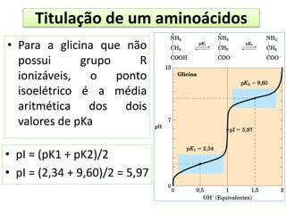 • Para a glicina que não
possui grupo R
ionizáveis, o ponto
isoelétrico é a média
aritmética dos dois
valores de pKa
• pI = (pK1 + pK2)/2
• pI = (2,34 + 9,60)/2 = 5,97
Titulação de um aminoácidos
 