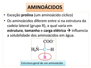 AMINOÁCIDOS
• Exceção prolina (um aminoácido cíclico)
• Os aminoácidos diferem entre si na estrutura da
cadeia lateral (grupo R), a qual varia em
estrutura, tamanho e carga elétrica  influencia
a solubilidade dos aminoácidos em água.
Estrutura geral de um aminoácido
 