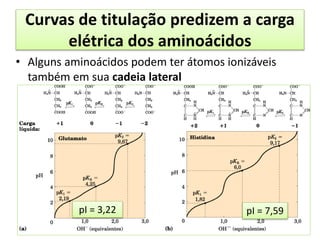 Curvas de titulação predizem a carga
elétrica dos aminoácidos
• Alguns aminoácidos podem ter átomos ionizáveis
também em sua cadeia lateral
pI = 3,22 pI = 7,59
 