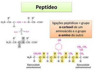 Peptídeo
ligações peptídicas = grupo
α-carboxil de um
aminoácido e o grupo
α-amino do outro
 