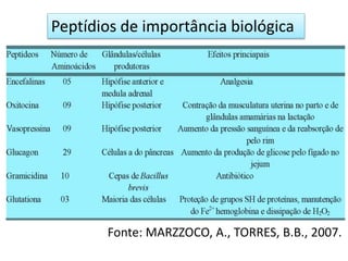 Peptídios de importância biológica
Fonte: MARZZOCO, A., TORRES, B.B., 2007.
 