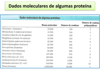Dados moleculares de algumas proteína
 