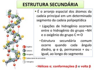  É o arranjo espacial dos átomos da
cadeia principal em um determinado
segmento da cadeia polipeptídica
• Ligações de hidrogênio ocorrem
entre o hidrogênio do grupo –NH
e o oxigênio do grupo C ═ O
•Estrutura secundária comum
ocorre quando cada ângulo
diedro, ϕ e ψ, permanece + ou -
igual, ao longo do segmento
ESTRUTURA SECUNDÁRIA
• Hélices α; conformações β e volta β
 
