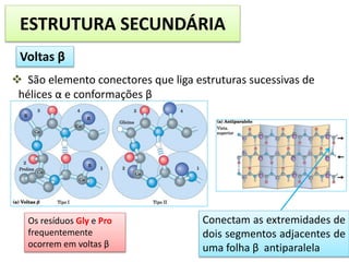  São elemento conectores que liga estruturas sucessivas de
hélices α e conformações β
ESTRUTURA SECUNDÁRIA
Voltas β
Os resíduos Gly e Pro
frequentemente
ocorrem em voltas β
Conectam as extremidades de
dois segmentos adjacentes de
uma folha β antiparalela
 