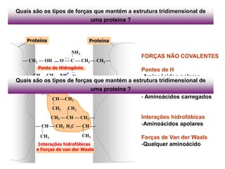 FORÇAS NÃO COVALENTES
Pontes de H
-Aminoácidos polares
Ligações iônicas
- Aminoácidos carregados
Interações hidrofóbicas
-Aminoácidos apolares
Forças de Van der Waals
-Qualquer aminoácido
ProteínaProteína
NH
— CH2 — OH ... O — C — CH2 — CH2 —
2
ProteínaProteína
O
—CH
Ponte de Hidrogênio
Interações hidrofóbicas
e Forças de van der Waals
2
CH —CH3
CH3 CH3
CH3 — CH — CH2 —
— CH — CH3 H3C — CH —
CH3
CH3
++—CH2—CH2—NH3 O
C —CH2—CH2—Ligação Iônica
Quais são os tipos de forças que mantém a estrutura tridimensional de
uma proteína ?
Quais são os tipos de forças que mantém a estrutura tridimensional de
uma proteína ?
 