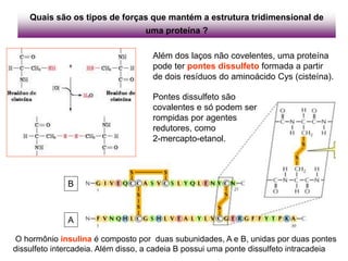 O hormônio insulina é composto por duas subunidades, A e B, unidas por duas pontes
dissulfeto intercadeia. Além disso, a cadeia B possui uma ponte dissulfeto intracadeia
A
B
Quais são os tipos de forças que mantém a estrutura tridimensional de
uma proteína ?
Além dos laços não covelentes, uma proteína
pode ter pontes dissulfeto formada a partir
de dois resíduos do aminoácido Cys (cisteína).
Pontes dissulfeto são
covalentes e só podem ser
rompidas por agentes
redutores, como
2-mercapto-etanol.
 