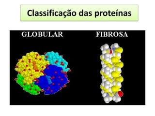 Classificação das proteínas
 