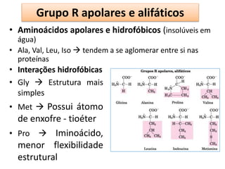 Grupo R apolares e alifáticos
• Interações hidrofóbicas
• Gly  Estrutura mais
simples
• Met  Possui átomo
de enxofre - tioéter
• Pro  Iminoácido,
menor flexibilidade
estrutural
• Aminoácidos apolares e hidrofóbicos (insolúveis em
água)
• Ala, Val, Leu, Iso  tendem a se aglomerar entre si nas
proteínas
 